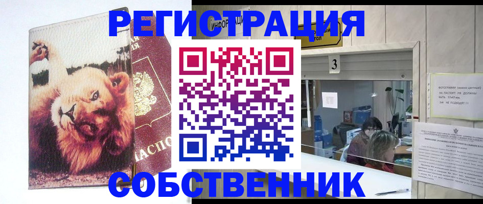 прописка поиск в Кирово-Чепецке